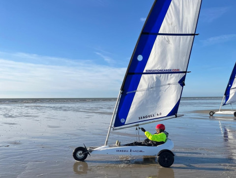 BON CADEAU 3 SEANCES DE CHAR